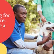 Raise money for your animal welfare cause with crowdfunding.