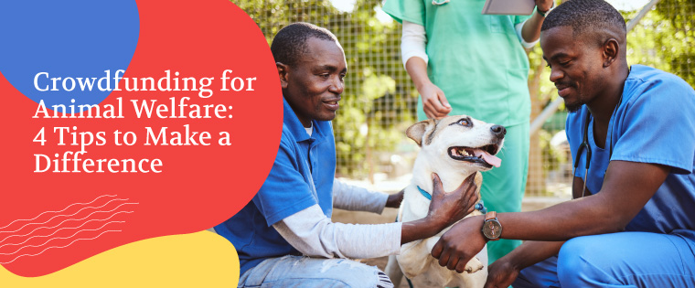 Raise money for your animal welfare cause with crowdfunding.
