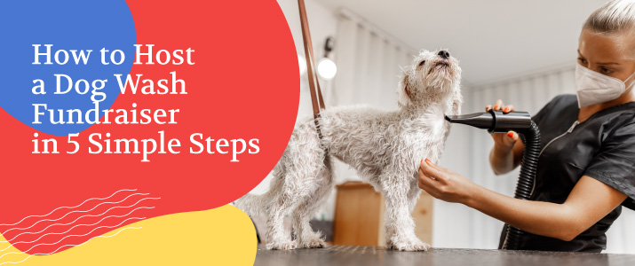 The title of the post - "How to Host a Dog Wash Fundraiser in 5 Simple Steps" - next to a photo of a dog being groomed.