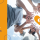 Learn more about volunteer grants and how Dollars for Doers can impact your nonprofit!